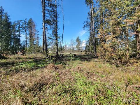 7700 Custer School Rd, Custer, WA 98240 photo 11