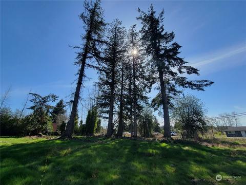 7700 Custer School Rd, Custer, WA 98240 photo 31