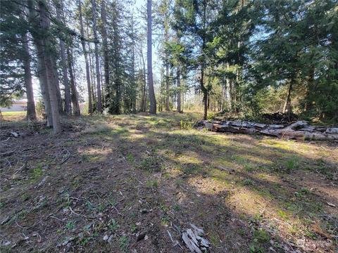 7700 Custer School Rd, Custer, WA 98240 photo 12