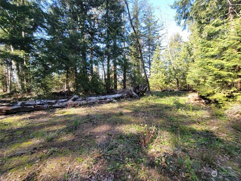 7700 Custer School Rd, Custer, WA 98240 photo 14