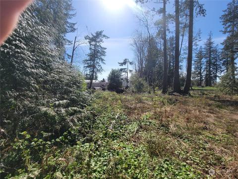 7700 Custer School Rd, Custer, WA 98240 photo 17