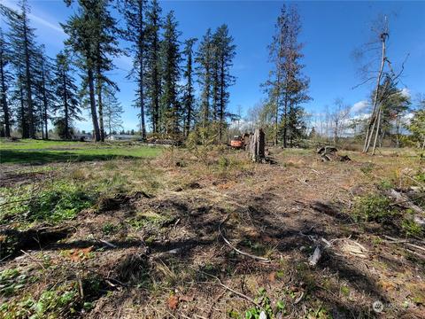 7700 Custer School Rd, Custer, WA 98240 photo 19
