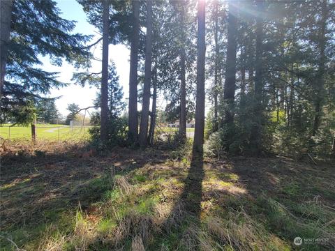 7700 Custer School Rd, Custer, WA 98240 photo 18