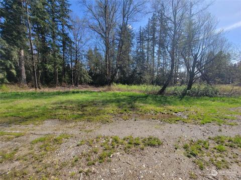 7700 Custer School Rd, Custer, WA 98240 photo 8