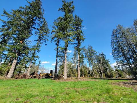 7700 Custer School Rd, Custer, WA 98240 photo 29