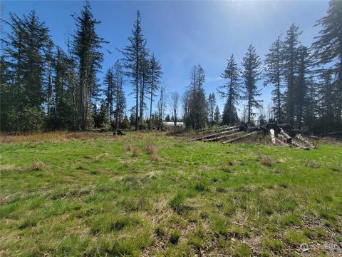 7700 Custer School Rd, Custer, WA 98240 photo 7
