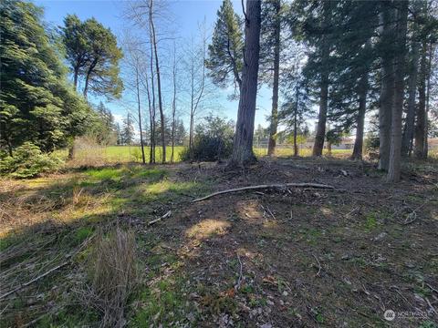 7700 Custer School Rd, Custer, WA 98240 photo 10