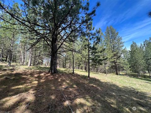 19000 Nnn Pheasant Dr, Greenacres, WA 99016