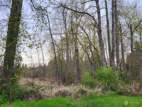 0 Bingham Ave E, Tacoma, WA 98446