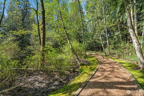 3918 119th Pl SE, Everett, WA 98208 photo 36