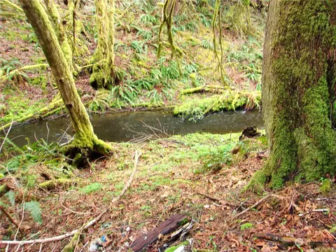 3007 Duckabush Rd, Brinnon, WA 98320