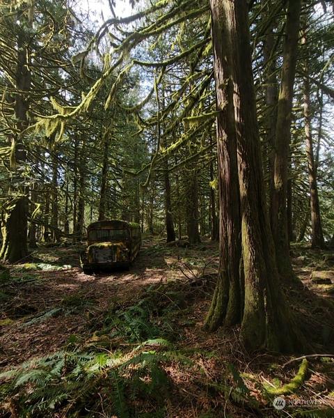 0 Bw, Marblemount, WA 98237