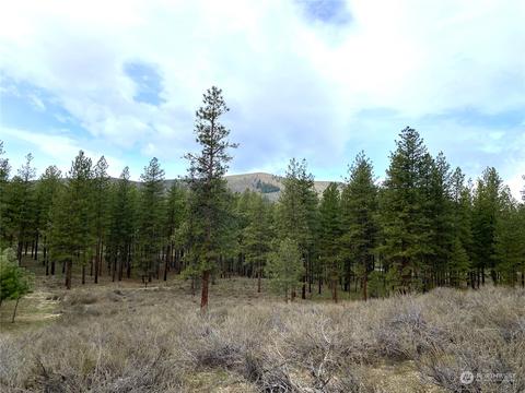 115 Twin Lakes Dr, Winthrop, WA 98862