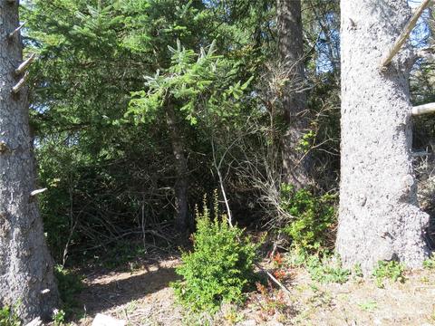 313 Dolphin Ave NE, Ocean Shores, WA 98569