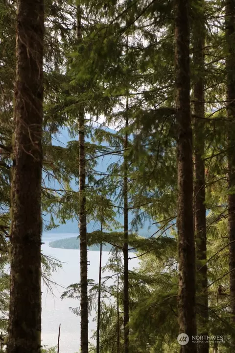 23 N Dow Ridge Rd, Hoodsport, WA 98548