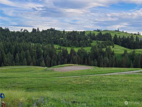 373 Mary Ann Creek Rd #1, Oroville, WA 98844