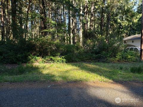 10501 Vantage Dr, Anderson Island, WA 98303
