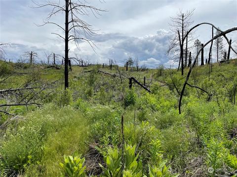 0 Jacktar Rd, Riverside, WA 98849