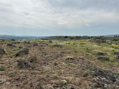 1483 Potter Rd, Tieton, WA 98947