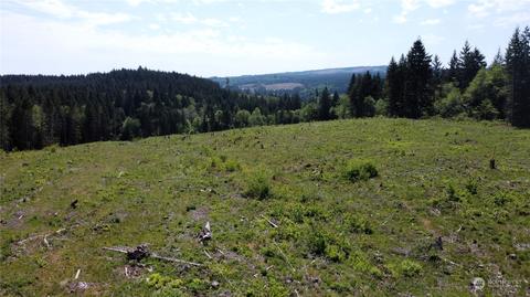 0 Brown Rd E, Adna, WA 98532 photo 13