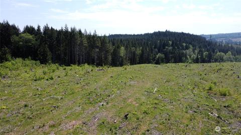 0 Brown Rd E, Adna, WA 98532 photo 14