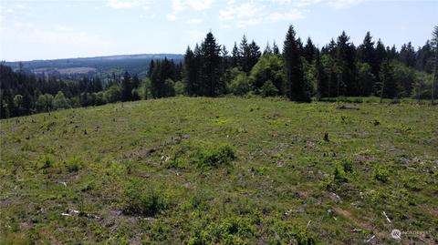 0 Brown Rd E, Adna, WA 98532 photo 15