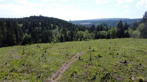 0 Brown Rd E, Adna, WA 98532 photo 10