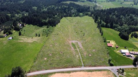 0 Brown Rd E, Adna, WA 98532 photo 9
