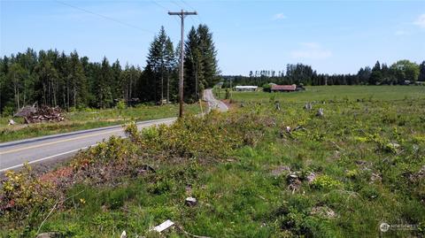 0 Brown Rd E, Adna, WA 98532 photo 6