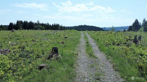 0 Brown Rd E, Adna, WA 98532 photo 5