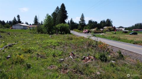 0 Brown Rd E, Adna, WA 98532 photo 7