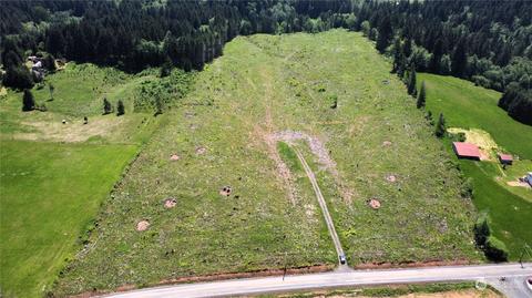 0 Brown Rd E, Adna, WA 98532 photo 4
