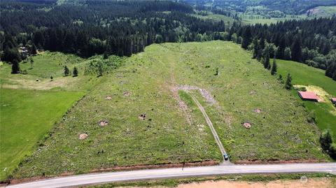 0 Brown Rd E, Adna, WA 98532 photo 11