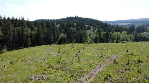 0 Brown Rd E, Adna, WA 98532 photo 12