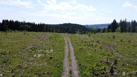 0 Brown Rd E, Adna, WA 98532 photo 8