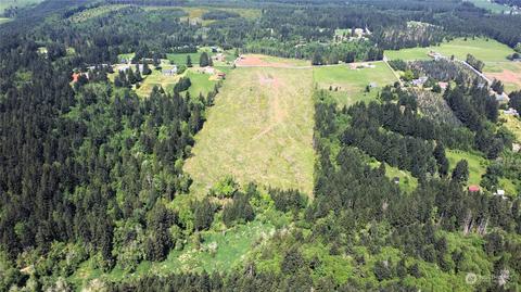 0 Brown Rd E, Adna, WA 98532 photo 3