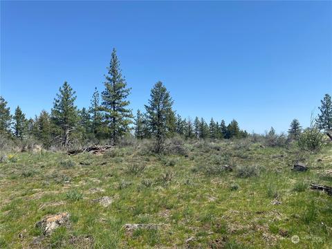 51780 E Whispering Pines Dr, Reardan, WA 99029