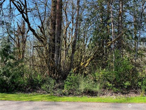 11036 Shuksan Rim Dr, Glacier, WA 98244