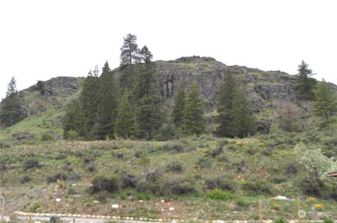 11 Isabella Ln, Twisp, WA 98856