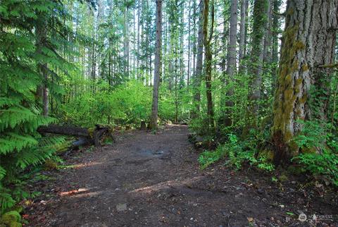 0 NE Old Cascade Hwy, Skykomish, WA 98288