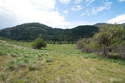 188 Twisp River Rd, Twisp, WA 98856 photo 26