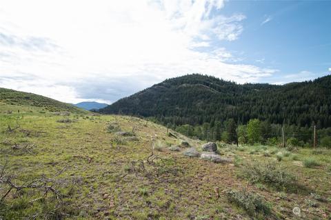 188 Twisp River Rd, Twisp, WA 98856 photo 5