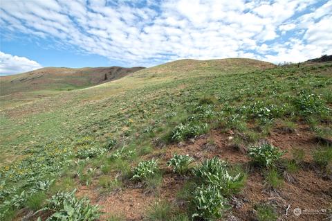 188 Twisp River Rd, Twisp, WA 98856 photo 9