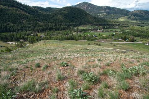 188 Twisp River Rd, Twisp, WA 98856 photo 18