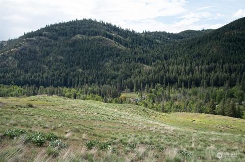188 Twisp River Rd, Twisp, WA 98856 photo 20