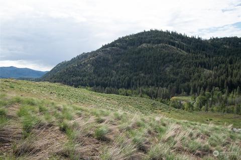 188 Twisp River Rd, Twisp, WA 98856 photo 23
