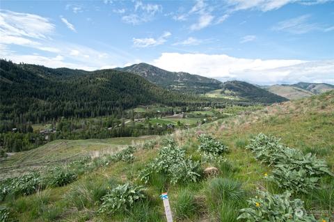188 Twisp River Rd, Twisp, WA 98856 photo 17