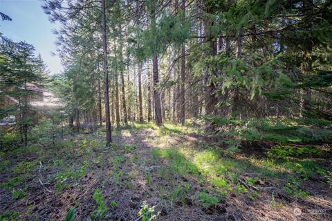 21838 Pinto Ln, Leavenworth, WA 98826