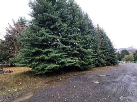 0 Callahan Rd, Carson, WA 98610 photo 3