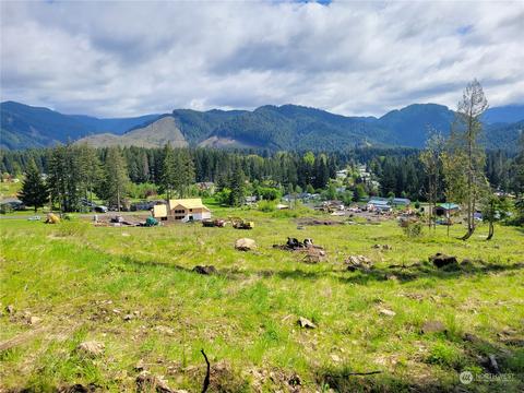 0 Brooks Rd, Carson, WA 98610 photo 4